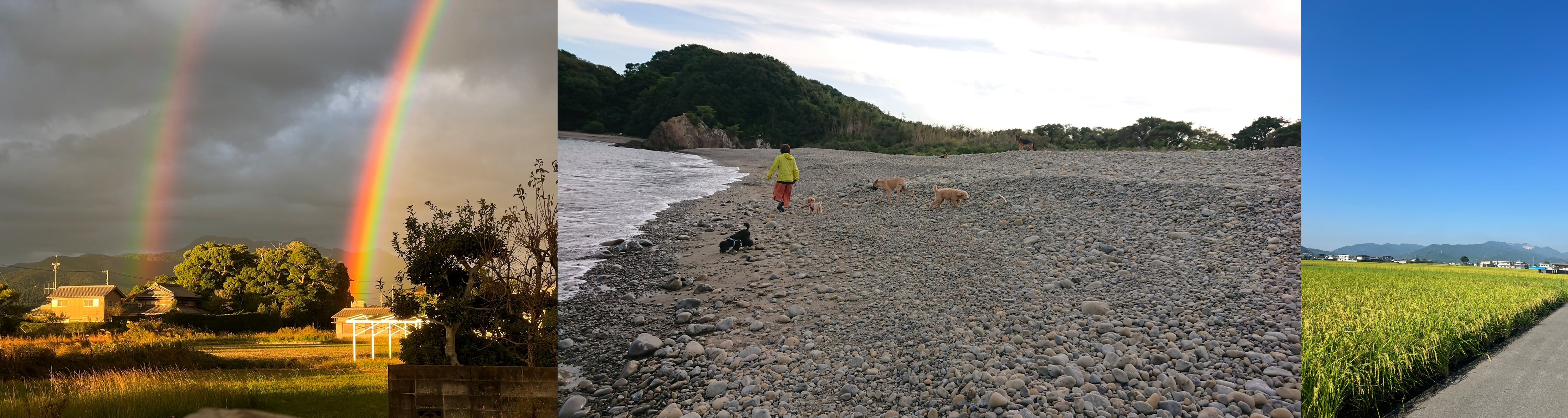 徳島のシュトラールケンネルへのアクセス