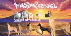 マスダックスケンネルへのリンク